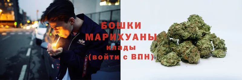 Марихуана Bruce Banner  Верхняя Пышма 